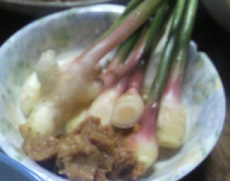 ���̍��̖l�́E�E�E�E�E������������́H