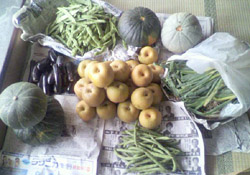 ���̍��̖l�́E�E�E�E�E������������́H