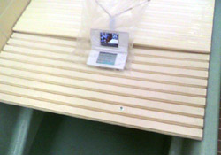 ���̍��̖l�́E�E�E�E�E������������́H