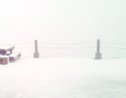 ���̍��̖l�́E�E�E�E�E������������́H