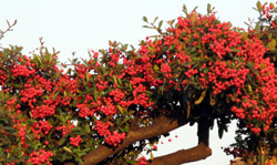 ���̍��̖l�́E�E�E�E�E������������́H