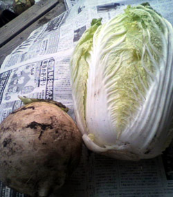 ���̍��̖l�́E�E�E�E�E������������́H