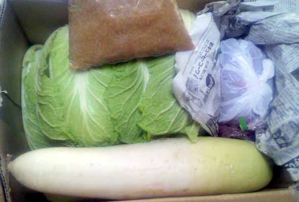 ���̍��̖l�́E�E�E�E�E������������́H