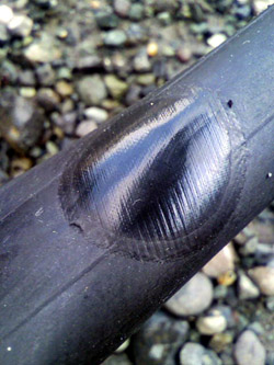 ���̍��̖l�́E�E�E�E�E������������́H