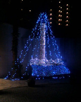 ���̍��̖l�́E�E�E�E�E������������́H