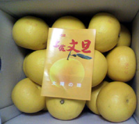 ���̍��̖l�́E�E�E�E�E������������́H