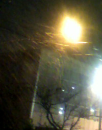 ���̍��̖l�́E�E�E�E�E������������́H