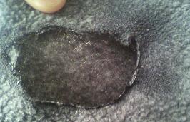 ���̍��̖l�́E�E�E�E�E������������́H