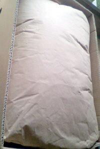 ���̍��̖l�́E�E�E�E�E������������́H