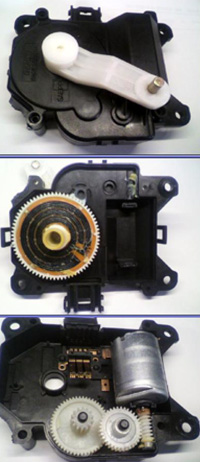 ���̍��̖l�́E�E�E�E�E������������́H