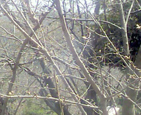 ���̍��̖l�́E�E�E�E�E������������́H