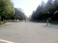 ���̍��̖l�́E�E�E�E�E������������́H