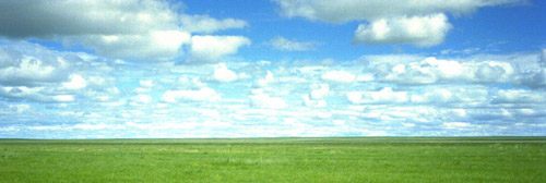 ���̍��̖l�́E�E�E�E�E������������́H