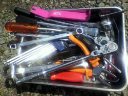 ���̍��̖l�́E�E�E�E�E������������́H