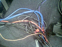 ���̍��̖l�́E�E�E�E�E������������́H