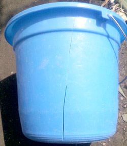 ���̍��̖l�́E�E�E�E�E������������́H