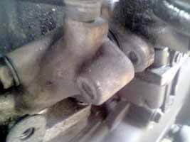 ���̍��̖l�́E�E�E�E�E������������́H