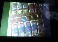 ���̍��̖l�́E�E�E�E�E������������́H