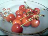 ���̍��̖l�́E�E�E�E�E������������́H