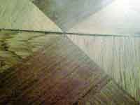 ���̍��̖l�́E�E�E�E�E������������́H