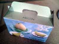 ���̍��̖l�́E�E�E�E�E������������́H