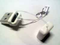 ���̍��̖l�́E�E�E�E�E������������́H