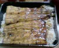 ���̍��̖l�́E�E�E�E�E������������́H