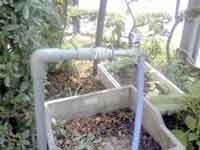 ���̍��̖l�́E�E�E�E�E������������́H