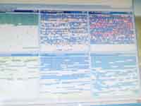 ���̍��̖l�́E�E�E�E�E������������́H