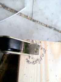 ���̍��̖l�́E�E�E�E�E������������́H