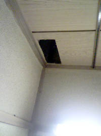 ���̍��̖l�́E�E�E�E�E������������́H