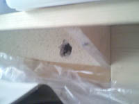 ���̍��̖l�́E�E�E�E�E������������́H