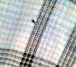 ���̍��̖l�́E�E�E�E�E������������́H