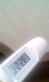 ���̍��̖l�́E�E�E�E�E������������́H