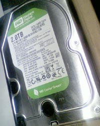 ���̍��̖l�́E�E�E�E�E������������́H