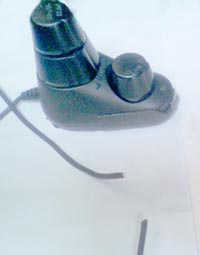 ���̍��̖l�́E�E�E�E�E������������́H