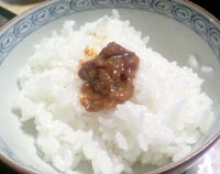 ���̍��̖l�́E�E�E�E�E������������́H