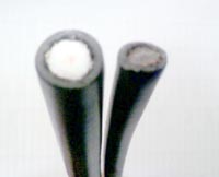 ���̍��̖l�́E�E�E�E�E������������́H