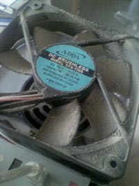 ���̍��̖l�́E�E�E�E�E������������́H