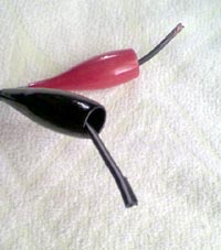 ���̍��̖l�́E�E�E�E�E������������́H