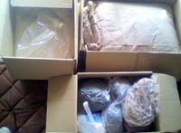 ���̍��̖l�́E�E�E�E�E������������́H