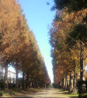 ���̍��̖l�́E�E�E�E�E������������́H