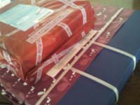 ���̍��̖l�́E�E�E�E�E������������́H