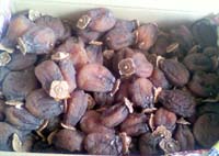 ���̍��̖l�́E�E�E�E�E������������́H