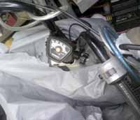 ���̍��̖l�́E�E�E�E�E������������́H