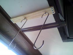 ���̍��̖l�́E�E�E�E�E������������́H