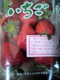 ���̍��̖l�́E�E�E�E�E������������́H