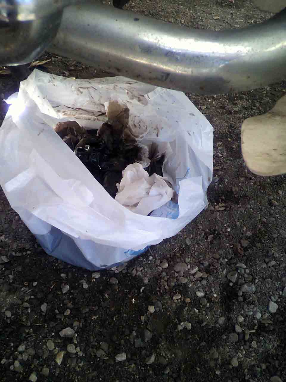 ���̍��̖l�́E�E�E�E�E������������́H