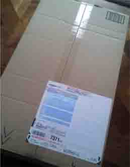 ���̍��̖l�́E�E�E�E�E������������́H