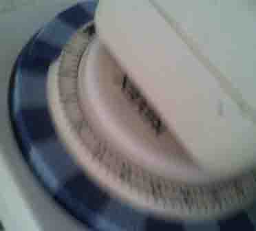 ���̍��̖l�́E�E�E�E�E������������́H